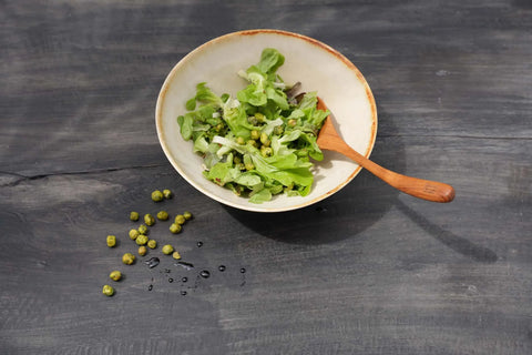 Zomerse tuinpicknick met salade in Cascais Small Bowl Plate – bohemian outdoor styling
