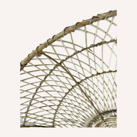 Rotan schaal