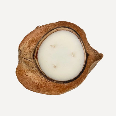 Kaars in kokosnoot (JLine) met citronella geur
