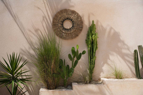 Muurdecoratie Mengdong tegen buitenmuur met groene planten eronder.