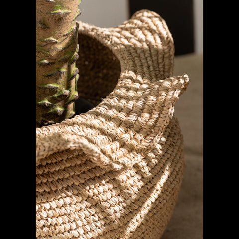 Detail van de naturel sisal mand met een groene plant in warm zonlicht